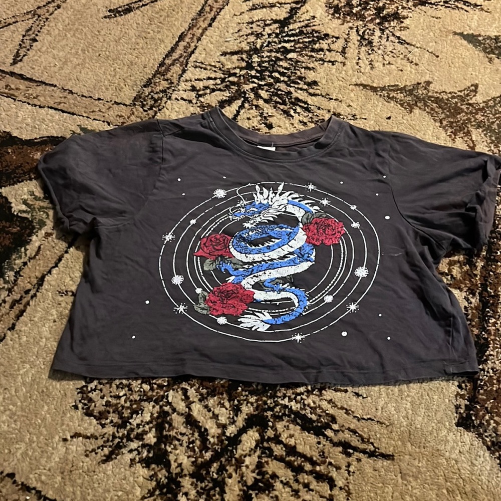 Multicolored Dragon with Red Roses Crop Top